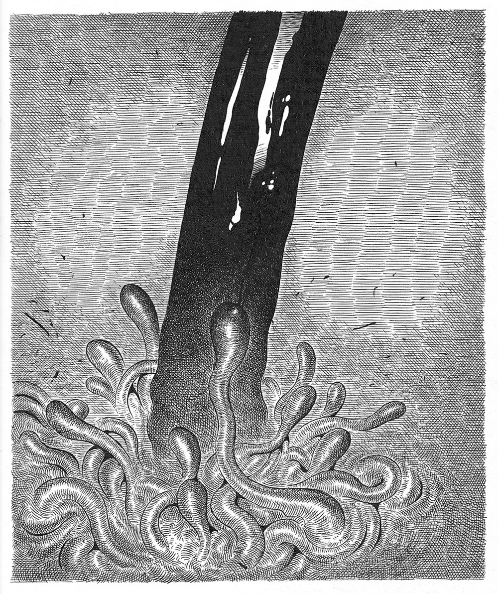 Sin título, de la serie 