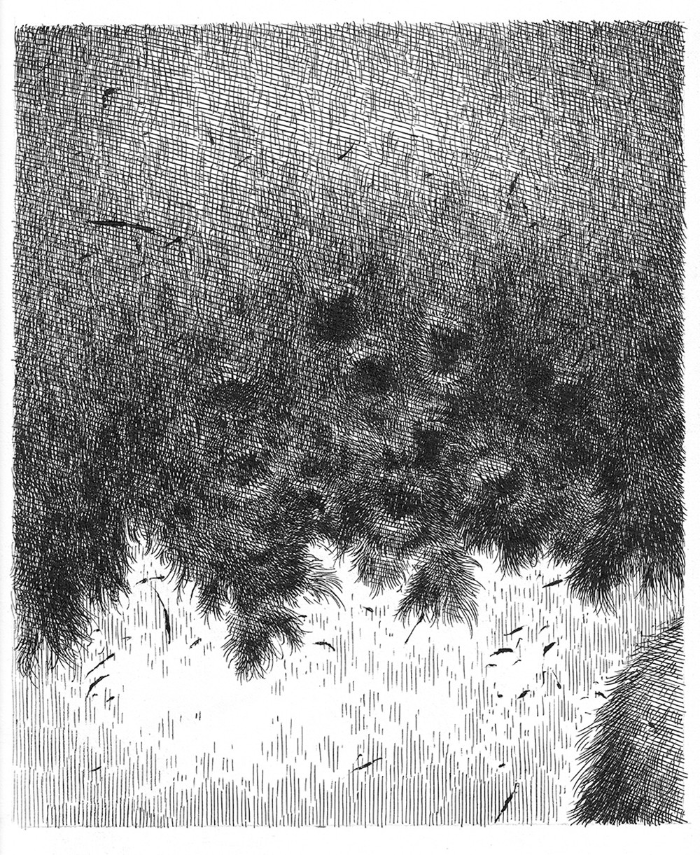 Sin título, de la serie 