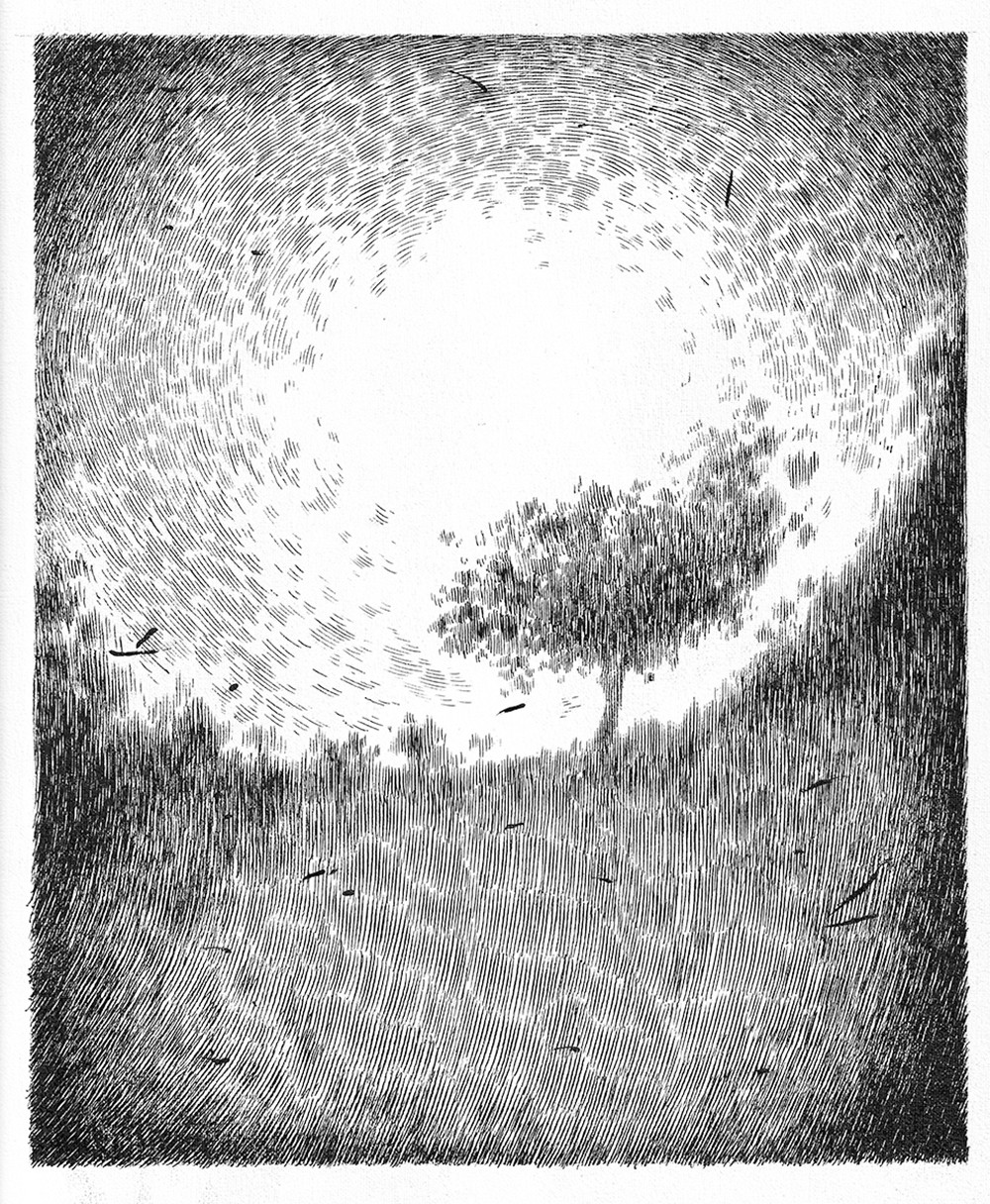 Sin título, de la serie 