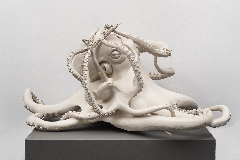 Octopus vulgaris