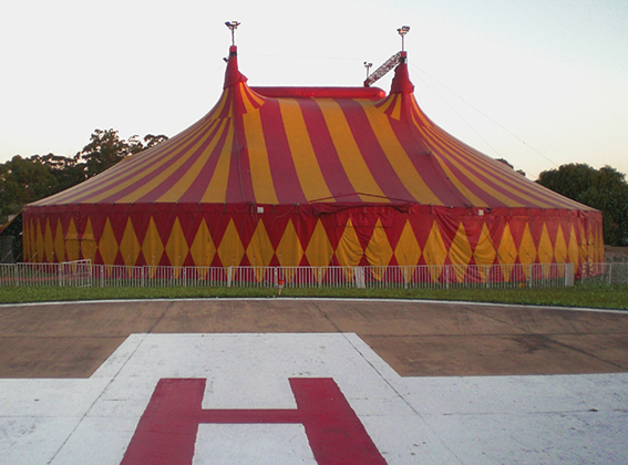 Carpa