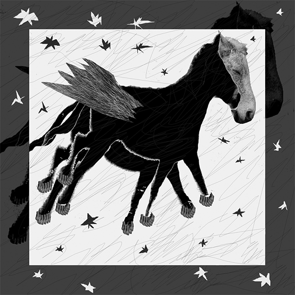 Pegaso sudamericano