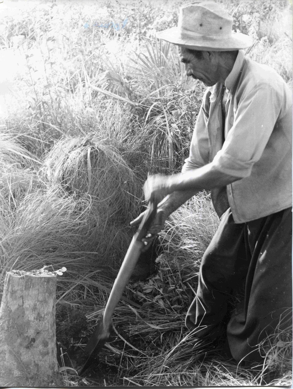 Formosa: la bella durmiente