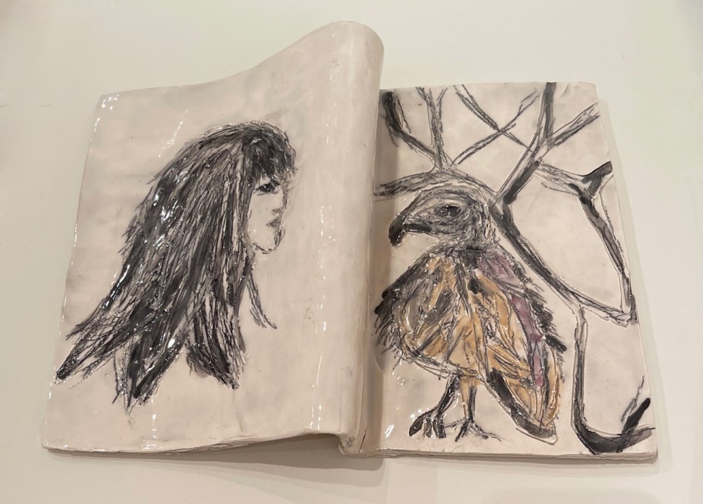 Libro cara y pájaro