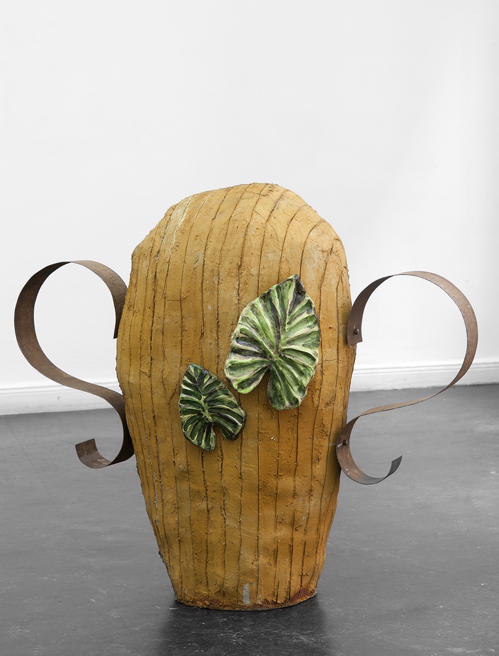Alocasia Odora