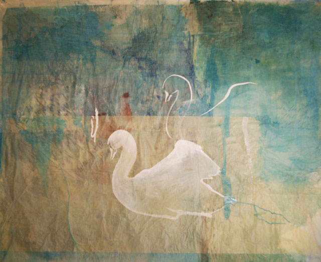 Cisne  
