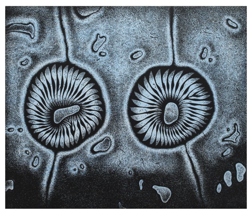 Escena de la venganza