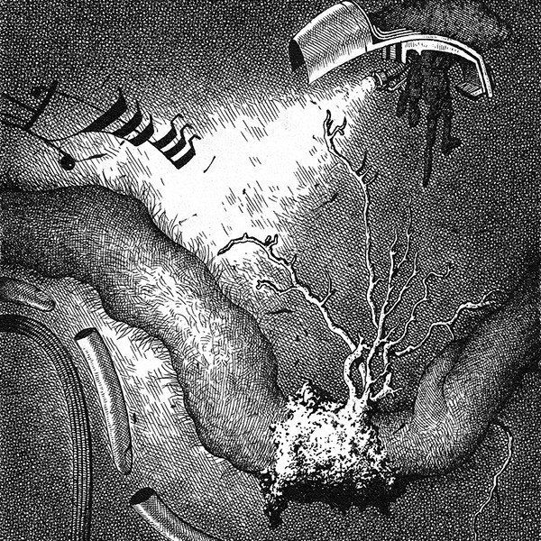 EL CENTRO DE LA TIERRA