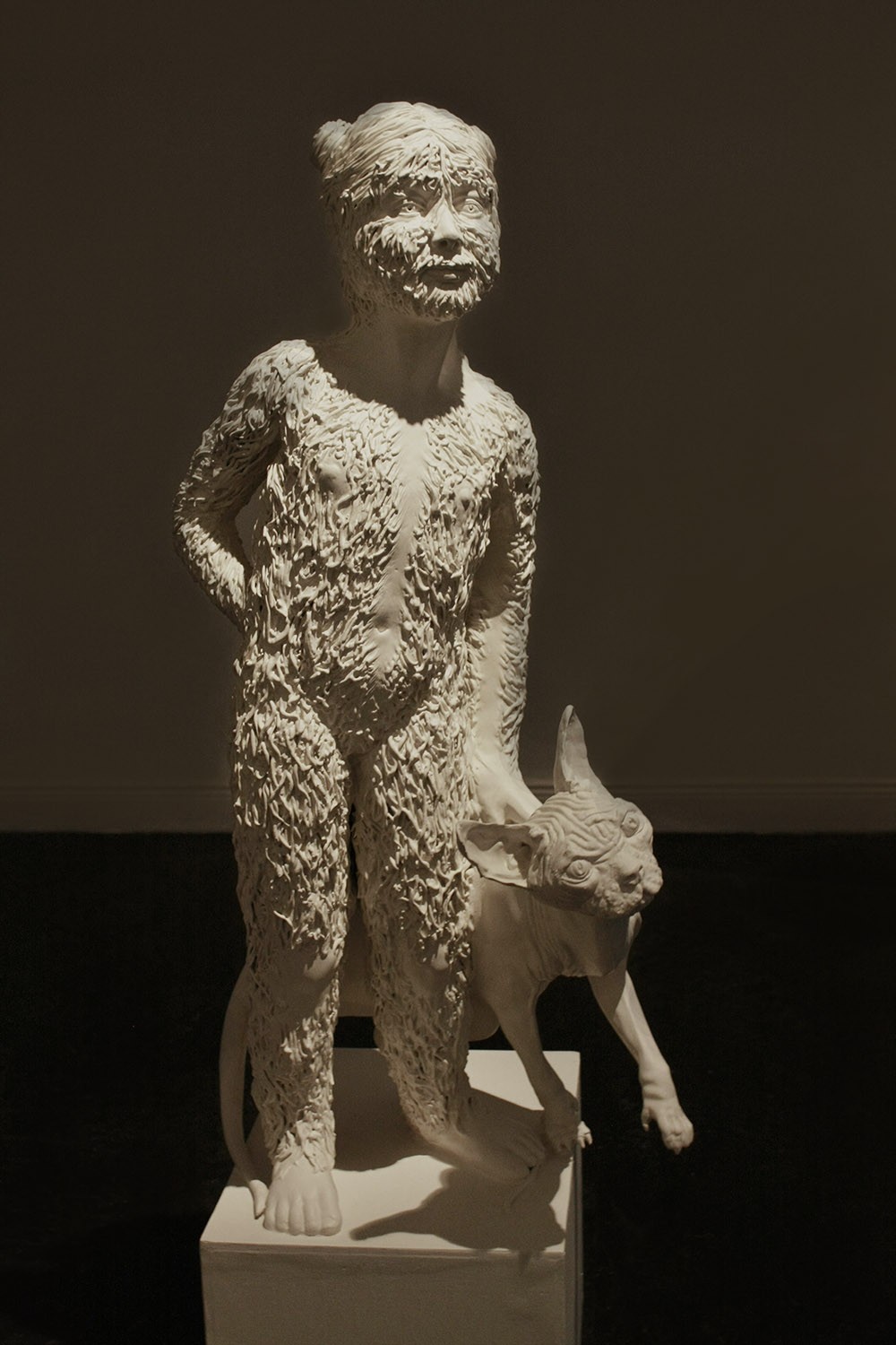 Los hipertricosis de Tognina Gonsalvus niña